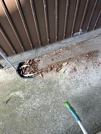 庭掃除や室内の掃除、雑用